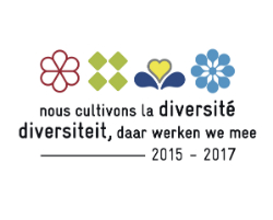 Label Diversité Région Bruxelloise : 2015-2017