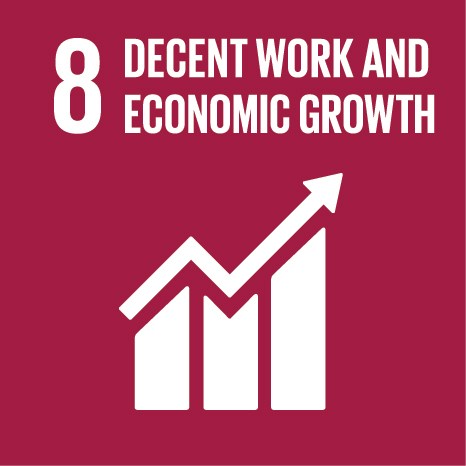 8. Decent Work and Economic Growth